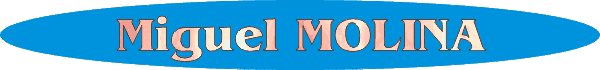 Miguel Molina