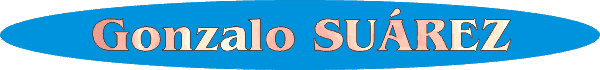 Gonzalo Su&aacute;rez